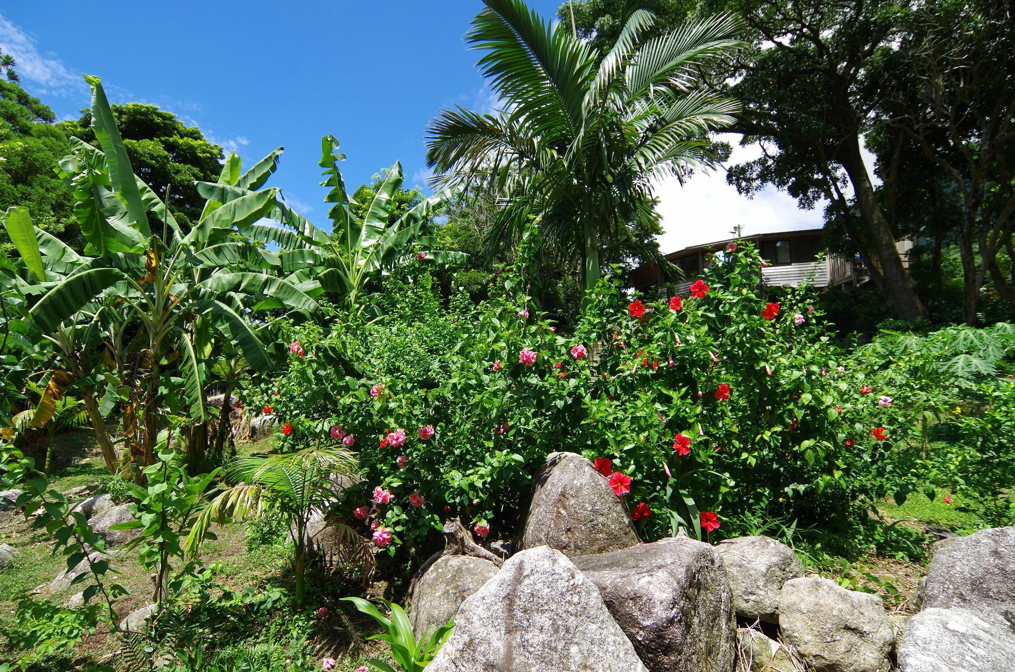 Cottage Views Yakushima  Bagian luar foto