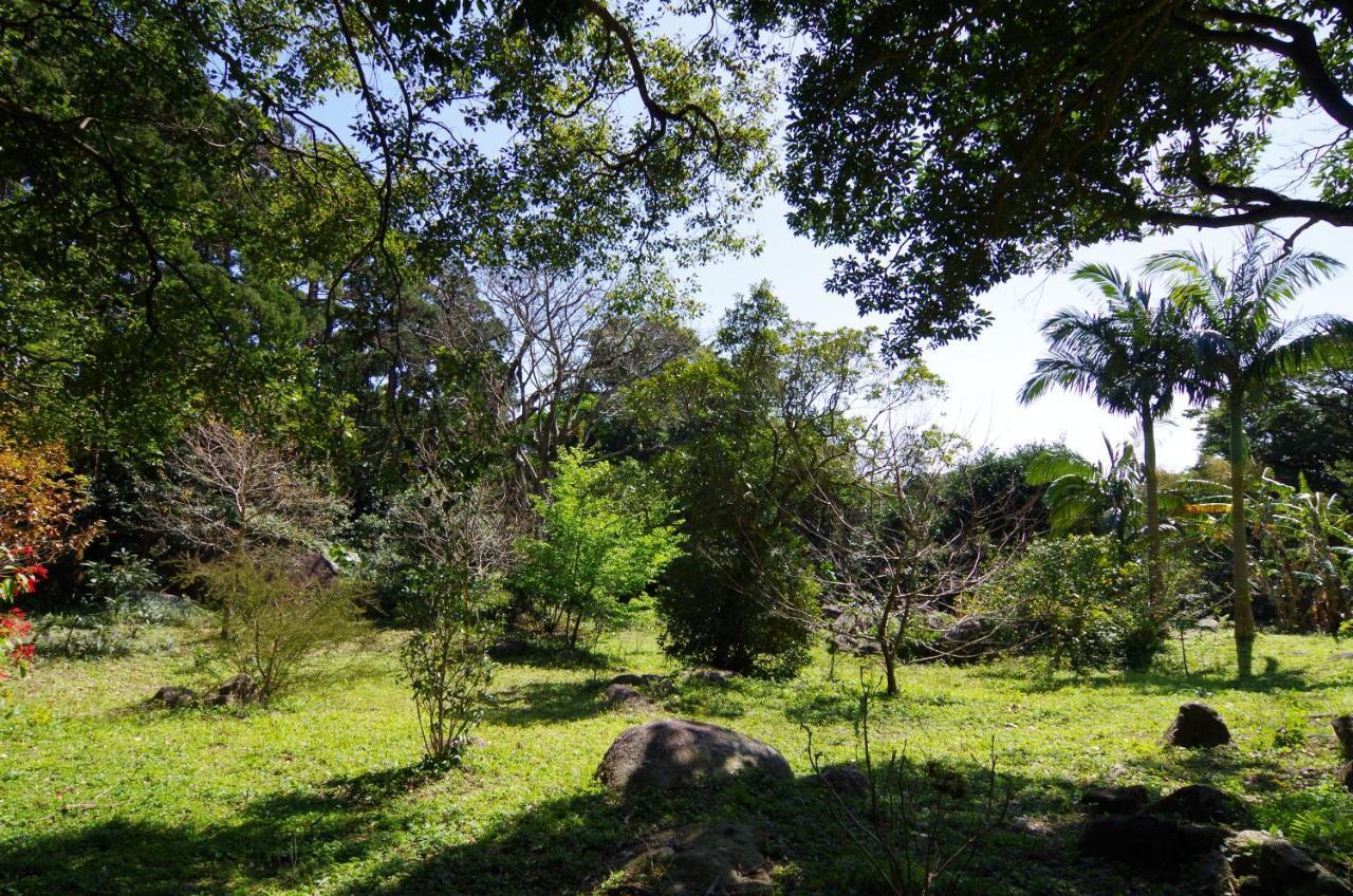 Cottage Views Yakushima  Bagian luar foto